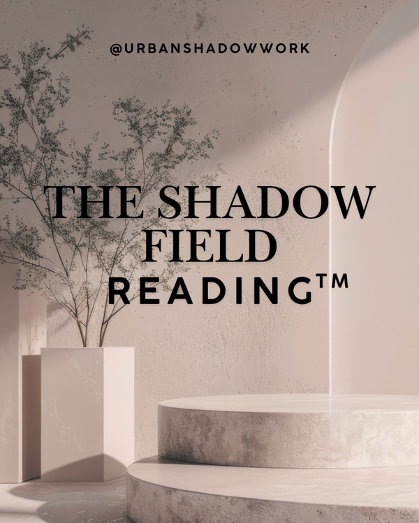 THE SHADOW FIELD READING