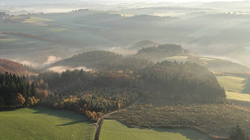 burg-reuland-2-standard.jpg