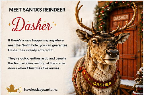 01_dasher_gender_neutral-standard.png