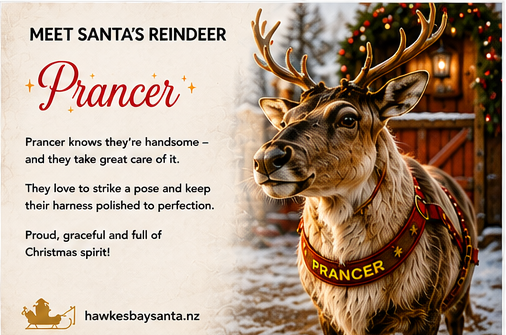 03_prancer_gender_neutral-standard.png