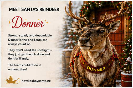 07_donner_gender_neutral-standard.png
