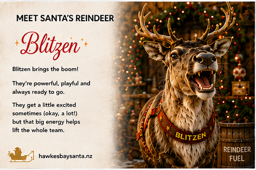 08_blitzen_gender_neutral-standard.png