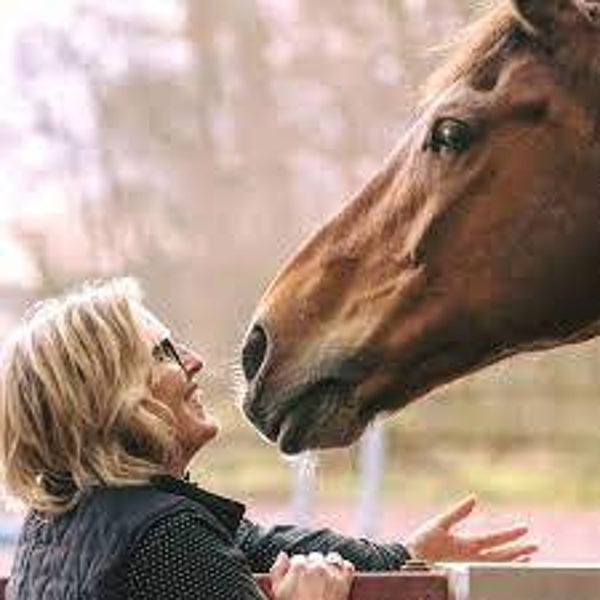 Module Paard & NLP