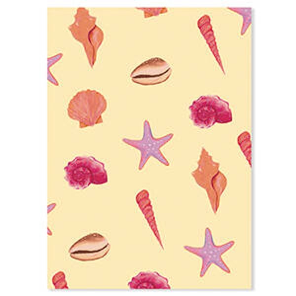 Wenskaart - Pink & Orange Shells