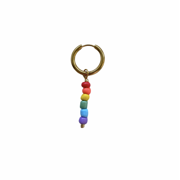 Oorbel - Rainbow