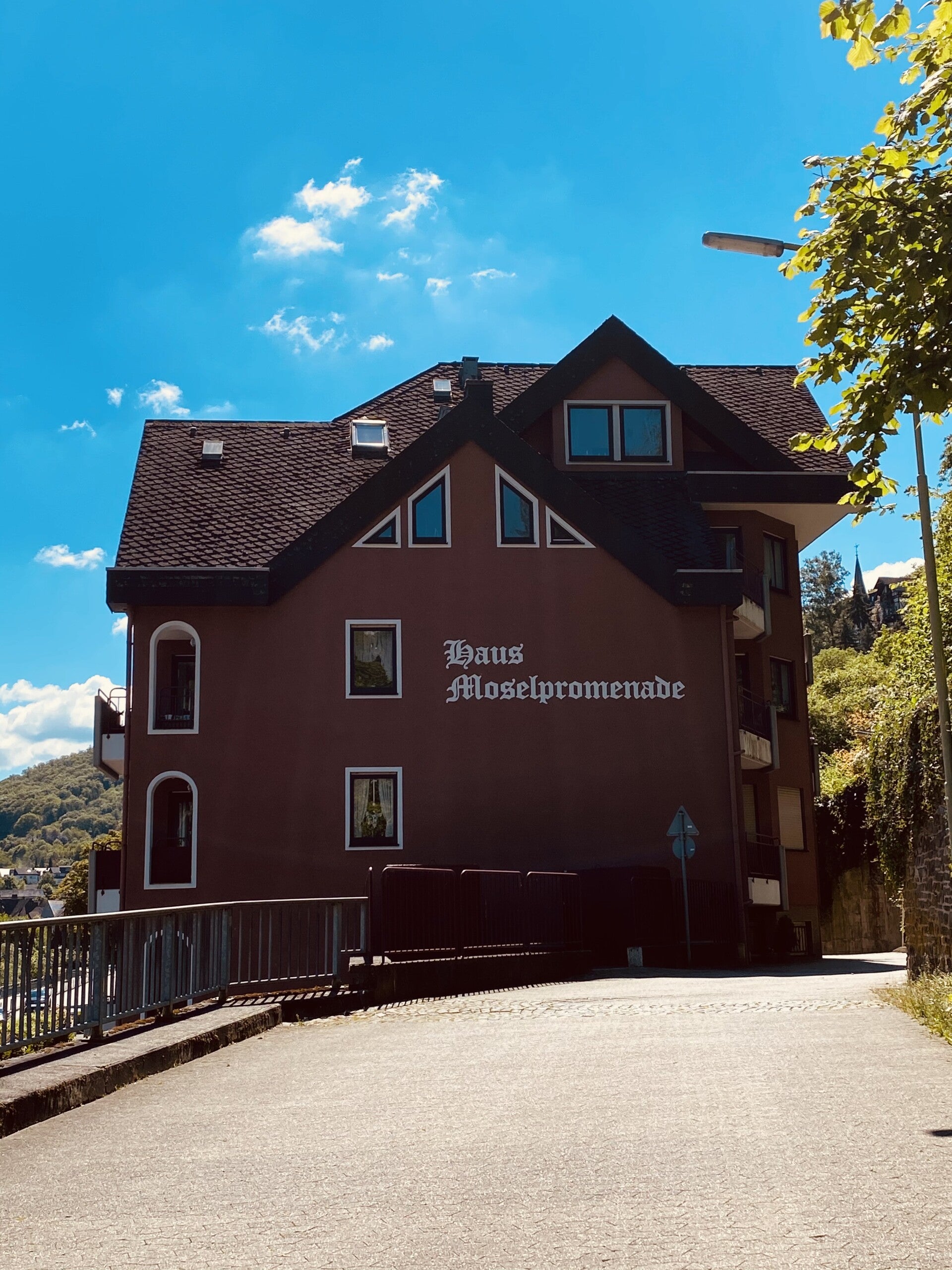 Haus Moselpromenade Cochem Moselblick