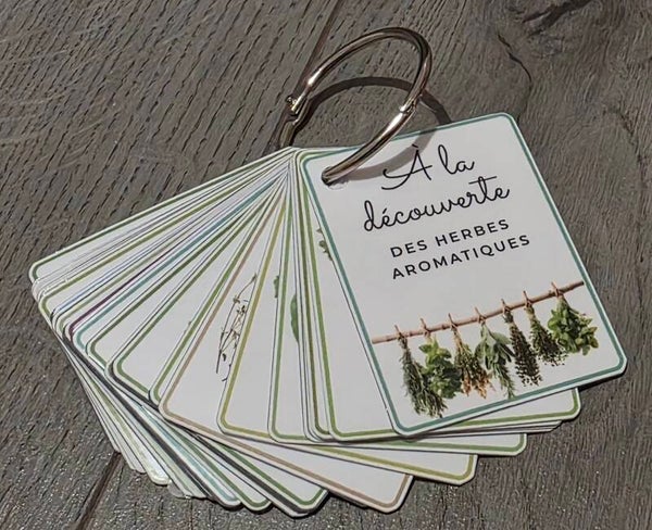 Mon imagier des herbes aromatiques