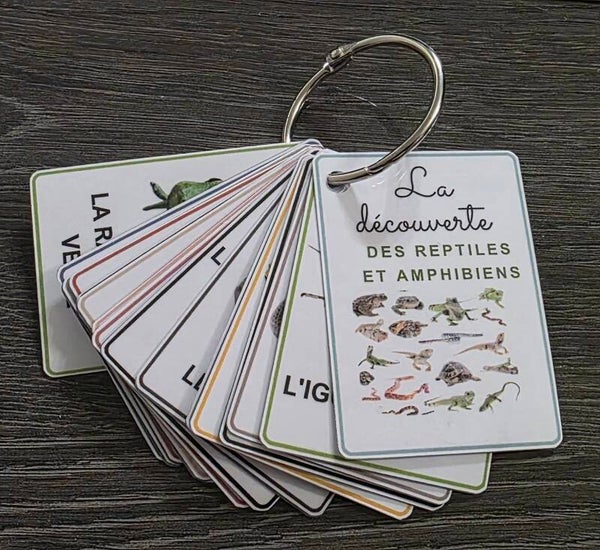 Mon imagier des reptiles & amphibiens