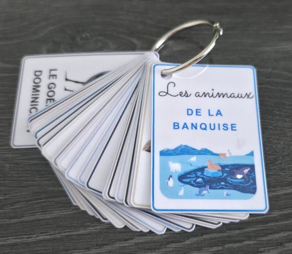 Mon imagier des animaux de la banquise !