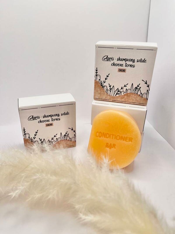 Après-shampoing solide cheveux ternes