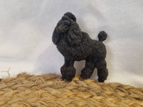 Caniche noir