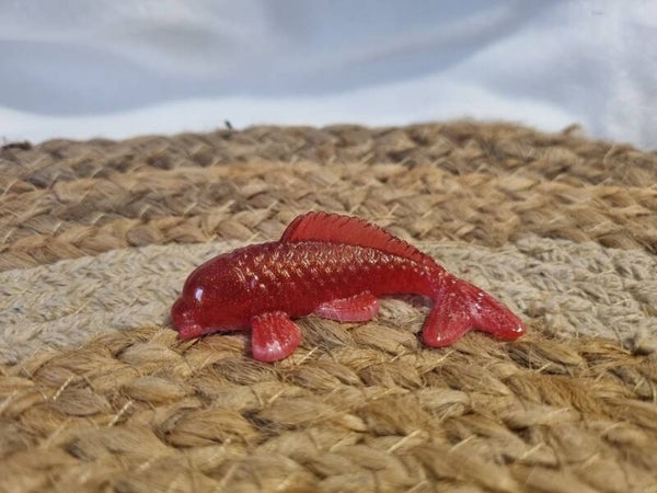 Carpe KOI rouge et doré