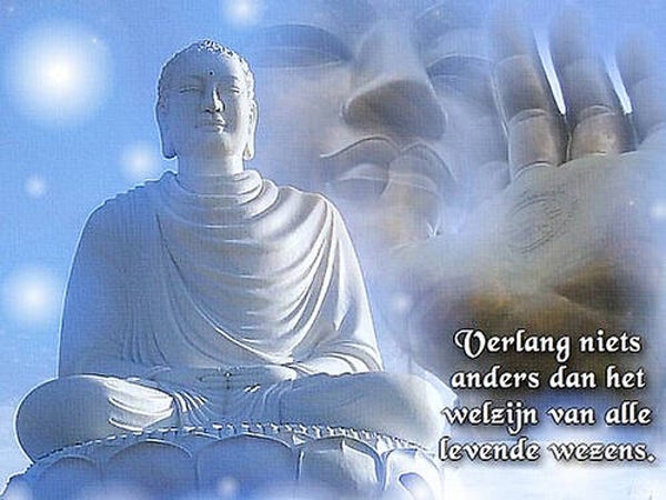 Mindfullness E-training Niet zweverig - wel levens veranderend incl. ondersteunende E coaching