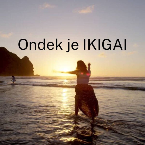IKIGAI FLOW Kompas digitaal– Online Zelfhulpcursus