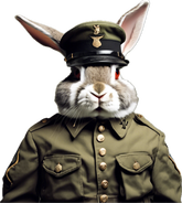 Een boekje over een legerkonijn biedt steun en legt moeilijke emoties uit aan kinderen met betrekking tot PTSS. Ontdek hoe psychosociale hulphonden en verhalen kinderen kunnen helpen op mijn website!