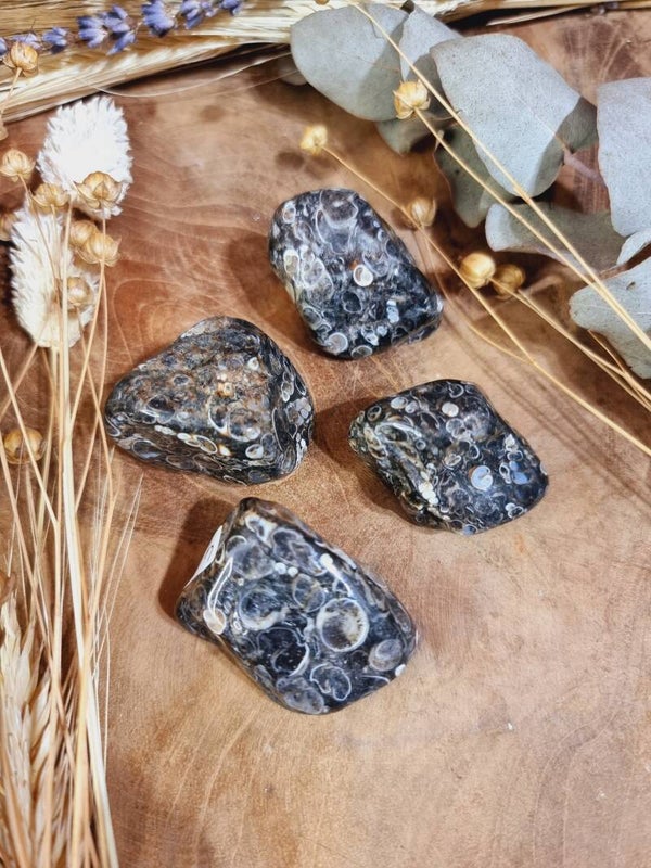 Turitella Agaat trommelsteen