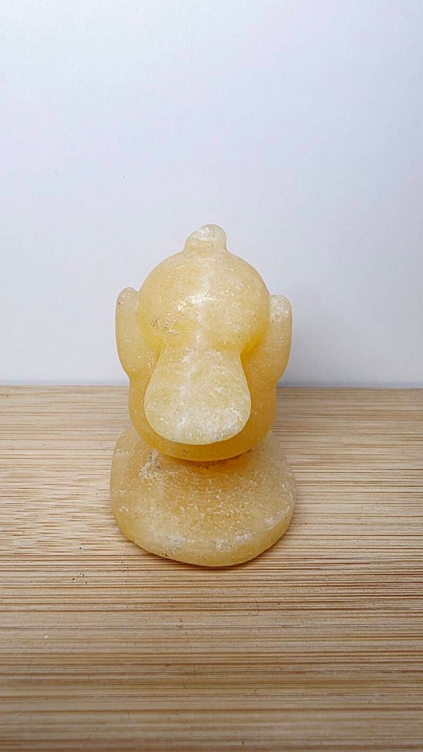 psyduck pokemon Gele Calciet