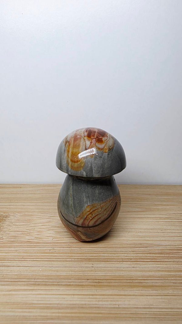 Polychroom Jaspis paddenstoel