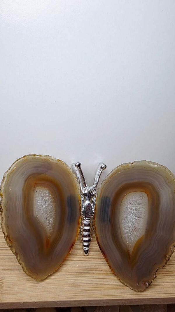 Agaat vlinder zilver kleur