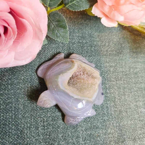 Druzy agaat zeeschildpad