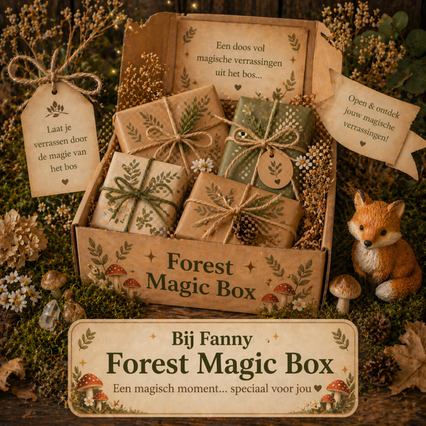 Forest Magic Mystery box