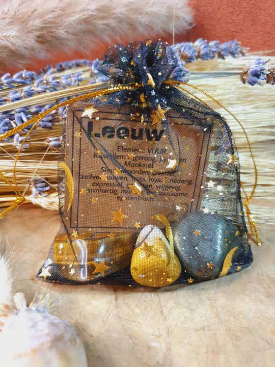 Sterrenbeeld set Leeuw