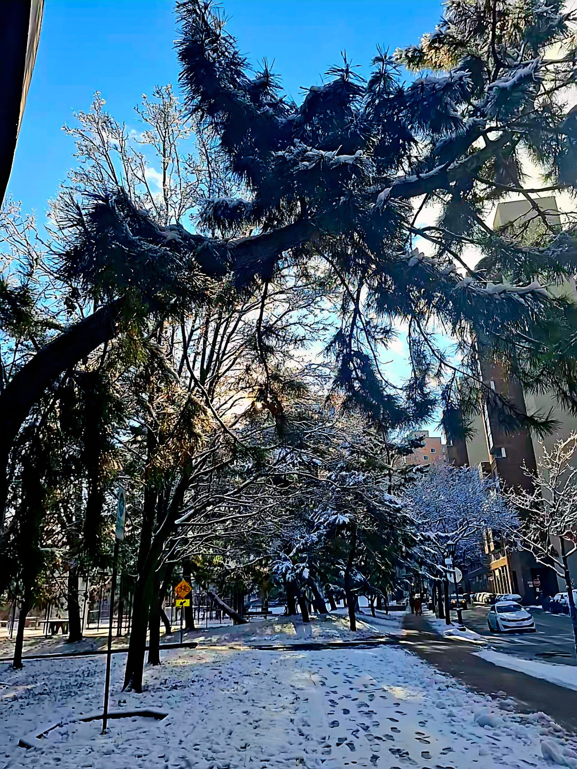 Winter Wonderland 12.14.2025