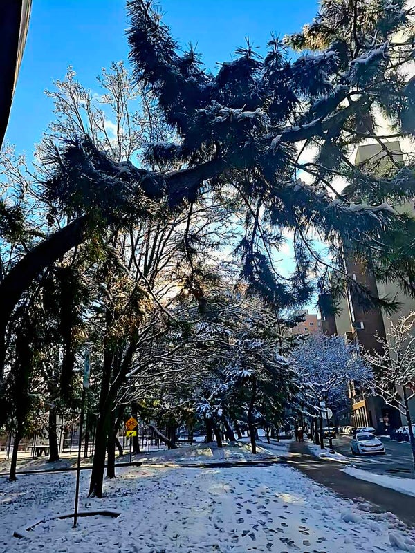 Winter Wonderland 12.14.2025