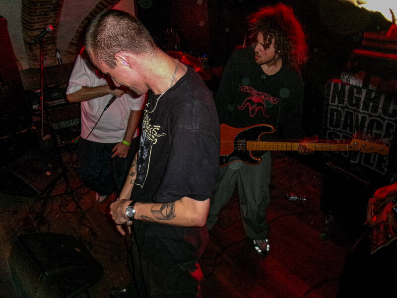 100_0172-standard.jpg