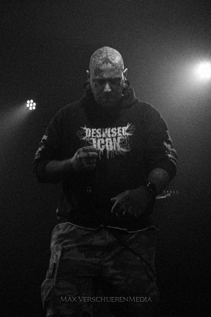 antwerp-assault-1155153-standard.jpg