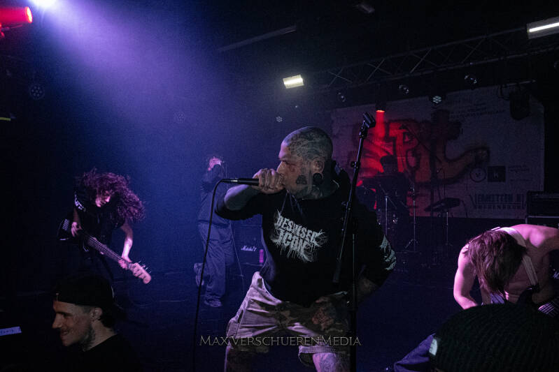 antwerp-assault-1155165-standard.jpg
