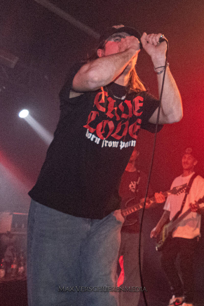 antwerp-assault-1165487-standard.jpg