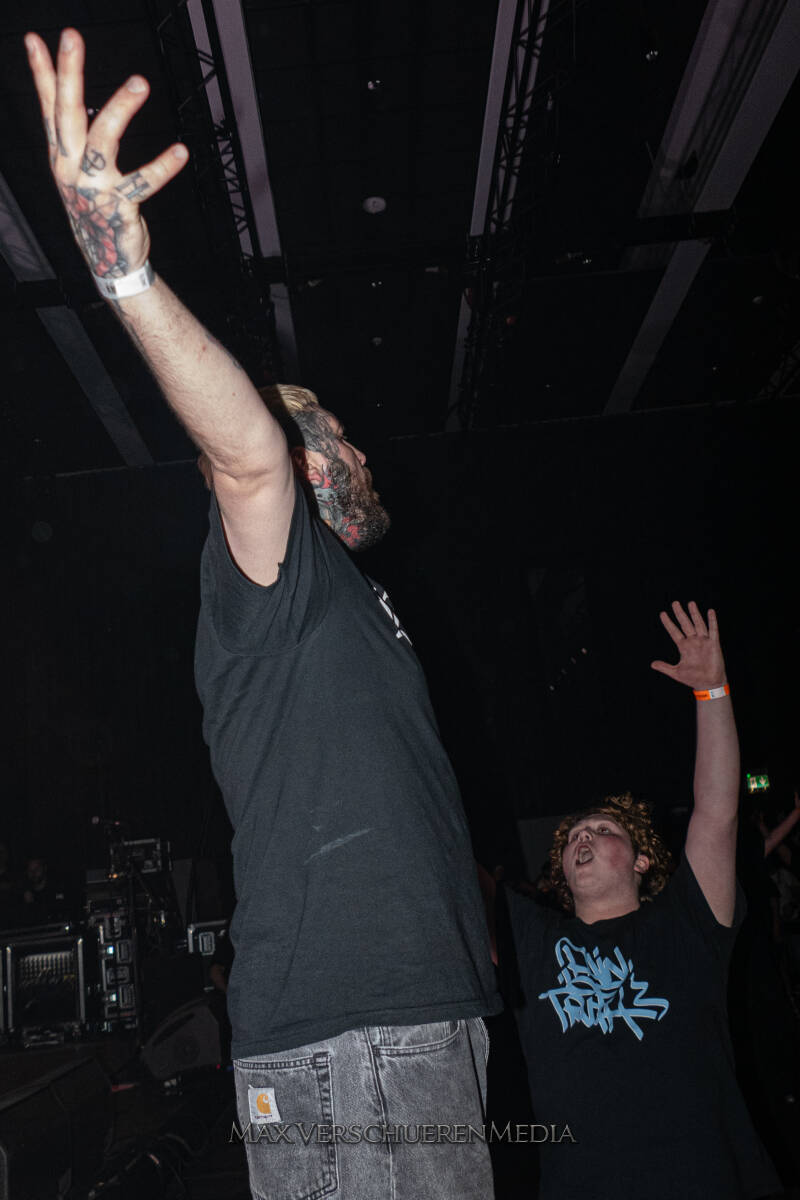 desolated-22-standard.jpg