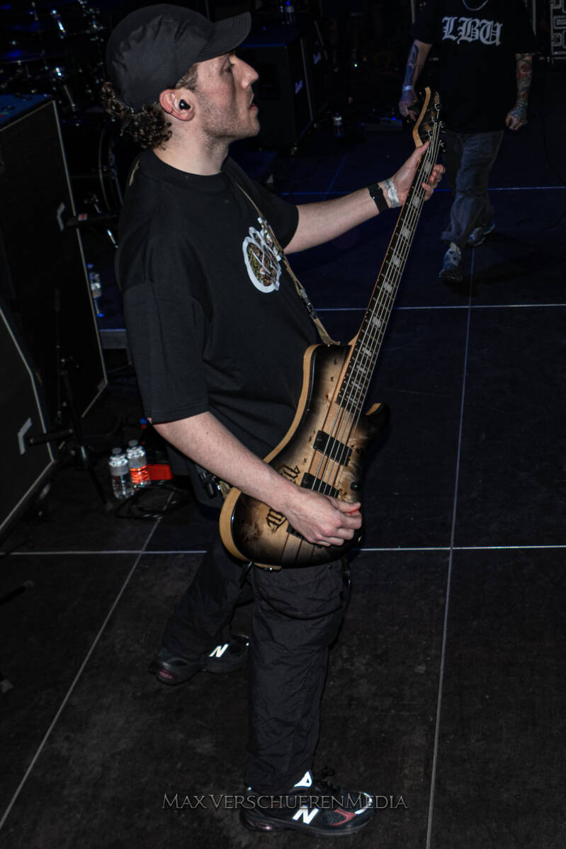 desolated-3-standard.jpg