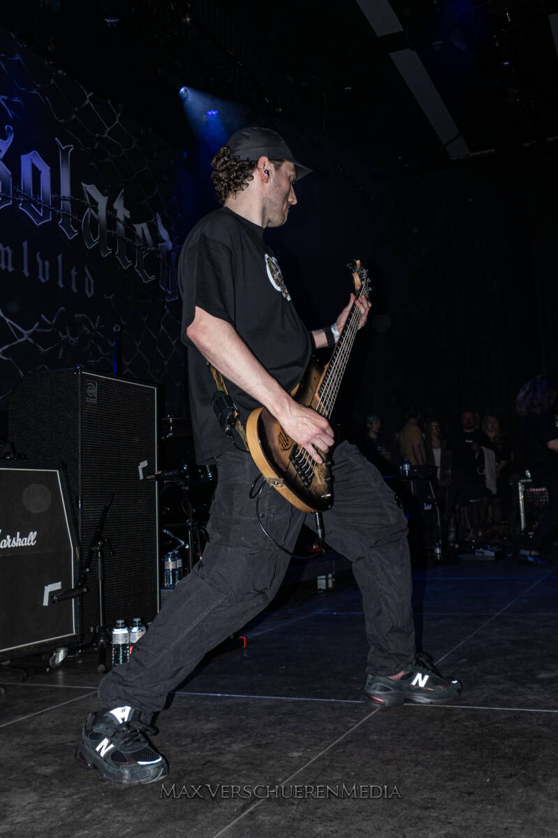 desolated-4-standard.jpg