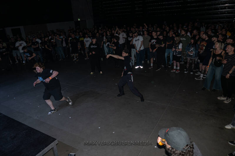 desolated-5-standard.jpg