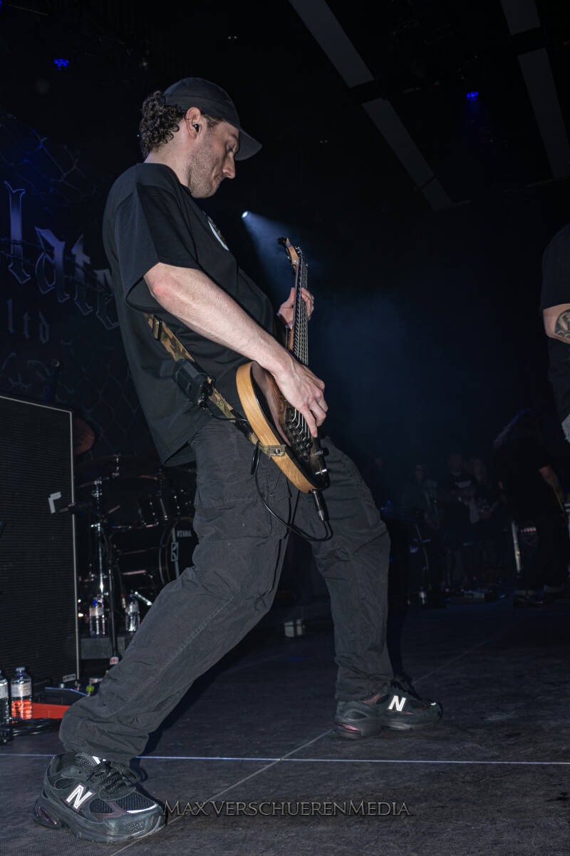 desolated-7-standard.jpg