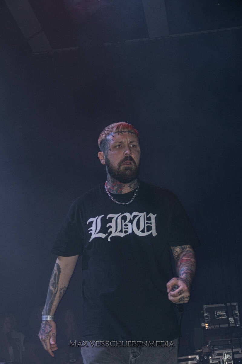 desolated-8-standard.jpg