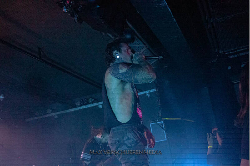 ingested-1-van-22-standard.jpg