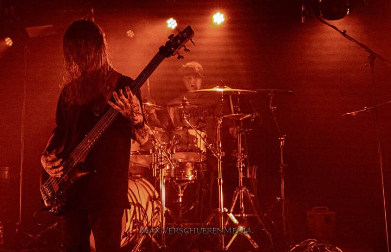 ingested-11-van-22-standard.jpg