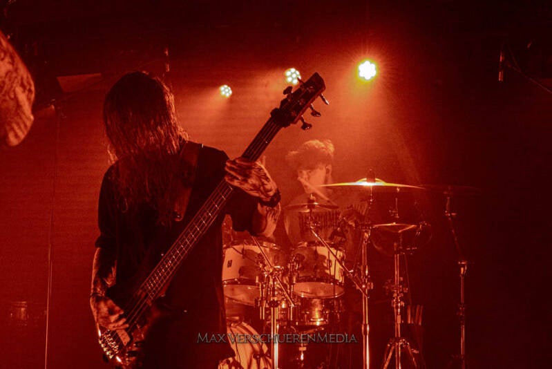 ingested-12-van-22-standard.jpg