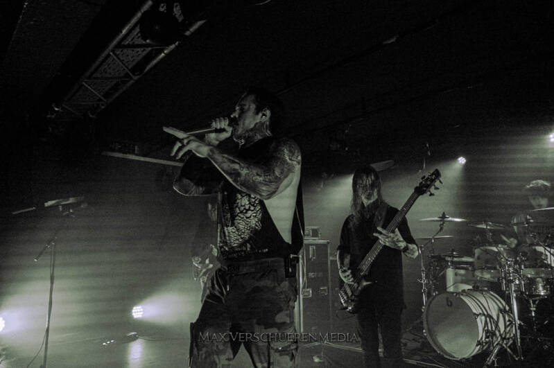 ingested-13-van-22-standard.jpg