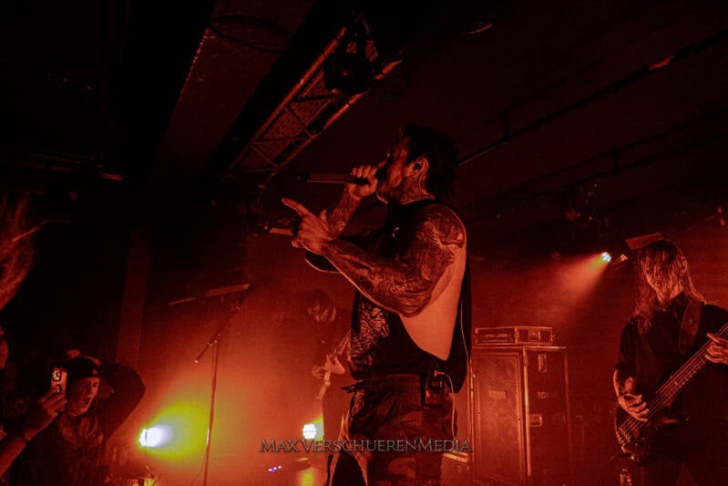 ingested-14-van-22-standard.jpg