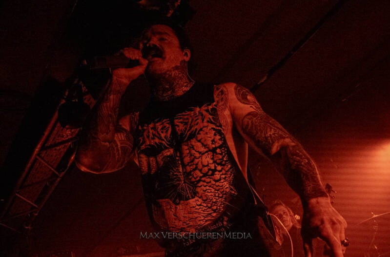 ingested-16-van-22-standard.jpg