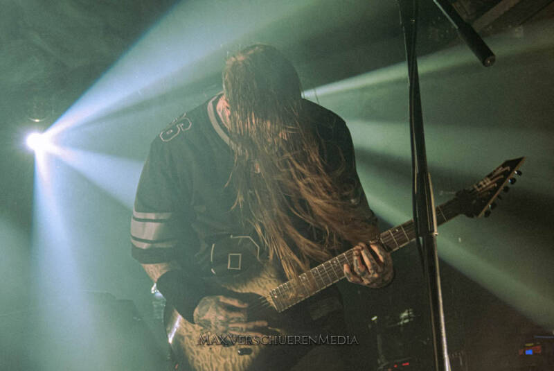 ingested-17-van-22-standard.jpg