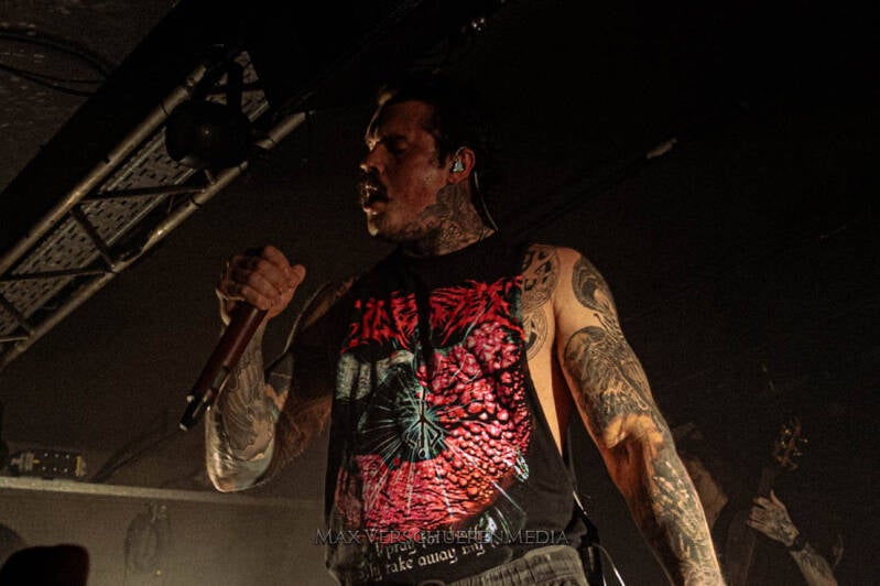 ingested-18-van-22-standard.jpg