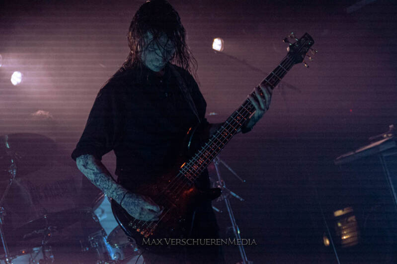 ingested-2-van-22-standard.jpg