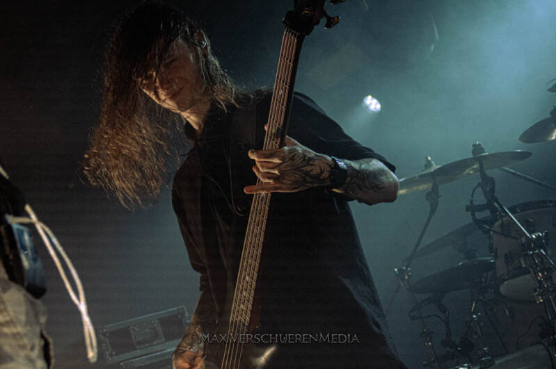 ingested-22-van-22-standard.jpg
