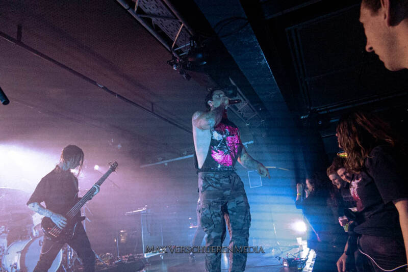 ingested-3-van-22-standard.jpg