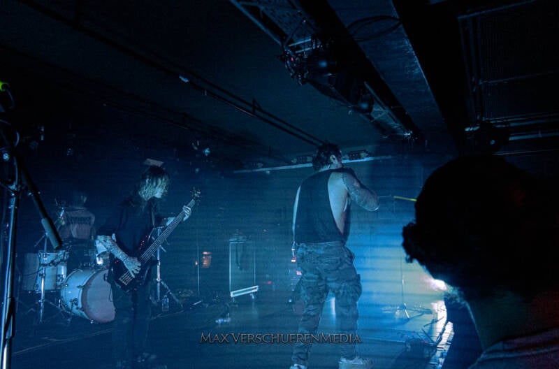 ingested-5-van-22-standard.jpg